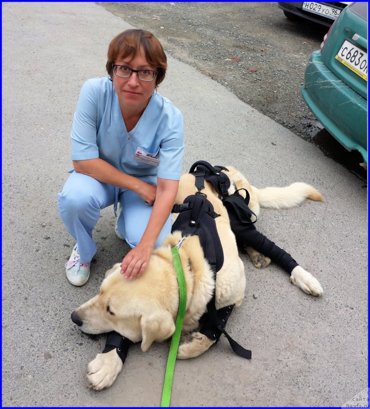 Фотография № 185225