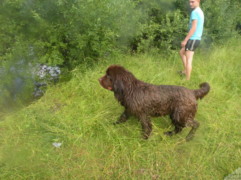 Фото: [d14213] и сын Андрей