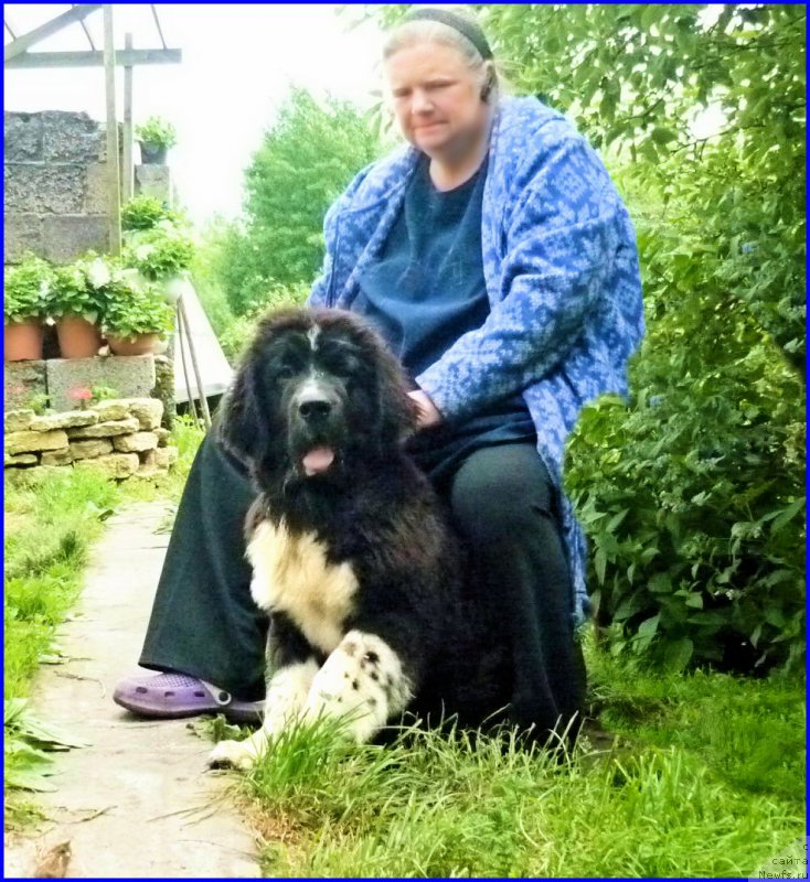 Фотография № 185320