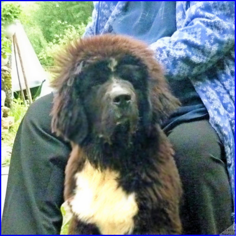 Фото: АКВАТОРИЯ КЕЛЬВИН ДОМИНО