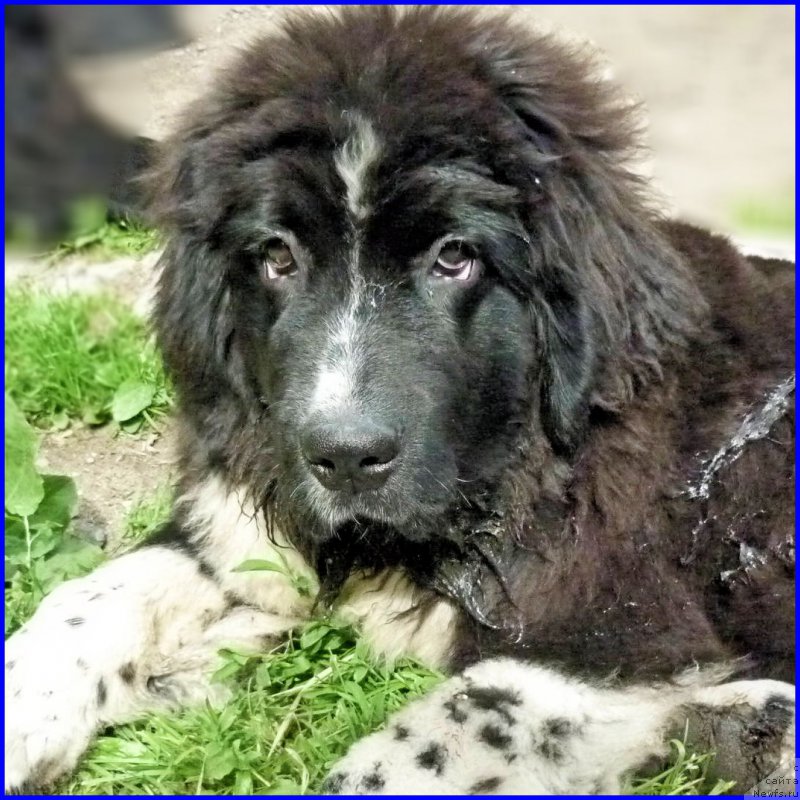 Фото: АКВАТОРИЯ КЕЛЬВИН ДОМИНО