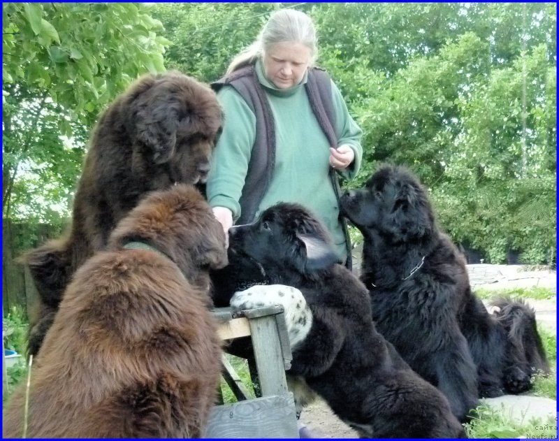 Фотография № 185330