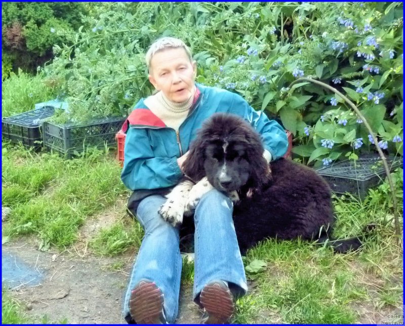 Фотография № 185333