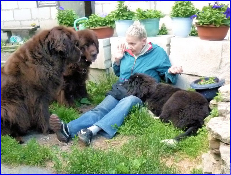 Фотография № 185335