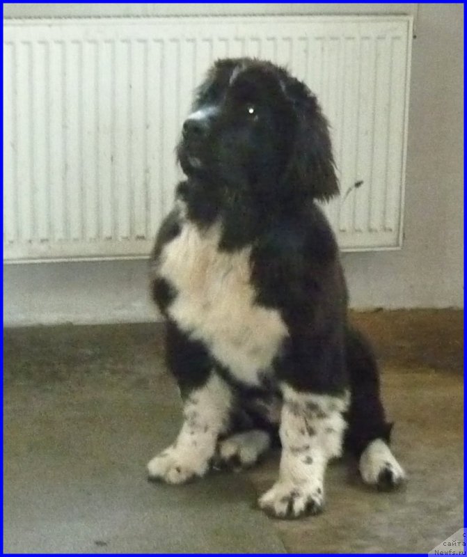 Фотография № 185344