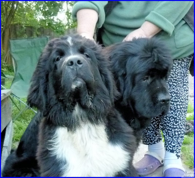 Фотография № 185354