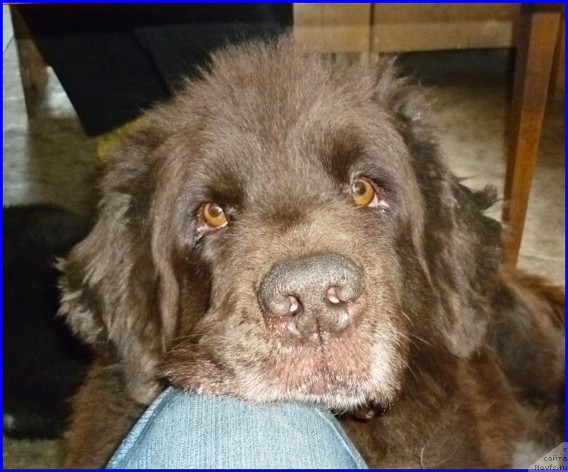 Фотография № 185359