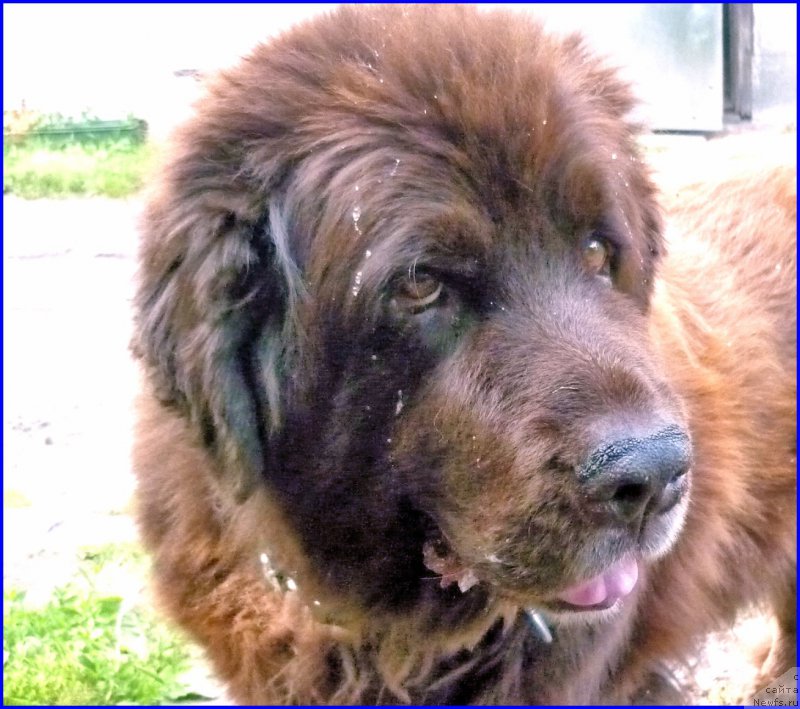 Фотография № 185360