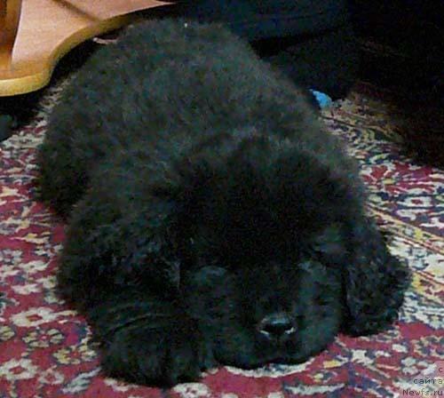 Фотография № 18539