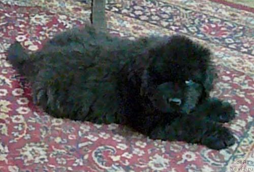 Фотография № 18541