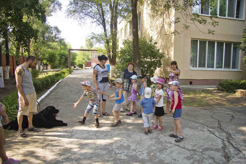 Фотография № 185481