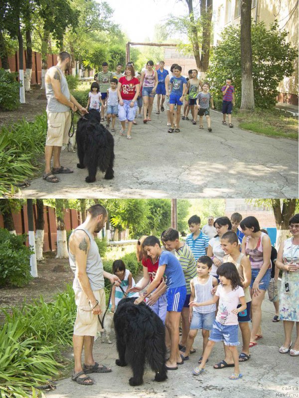 Фотография № 185482