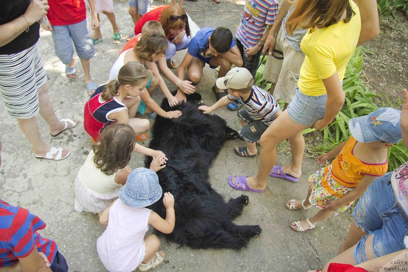 Фотография № 185485