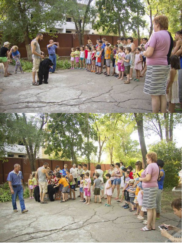 Фотография № 185486