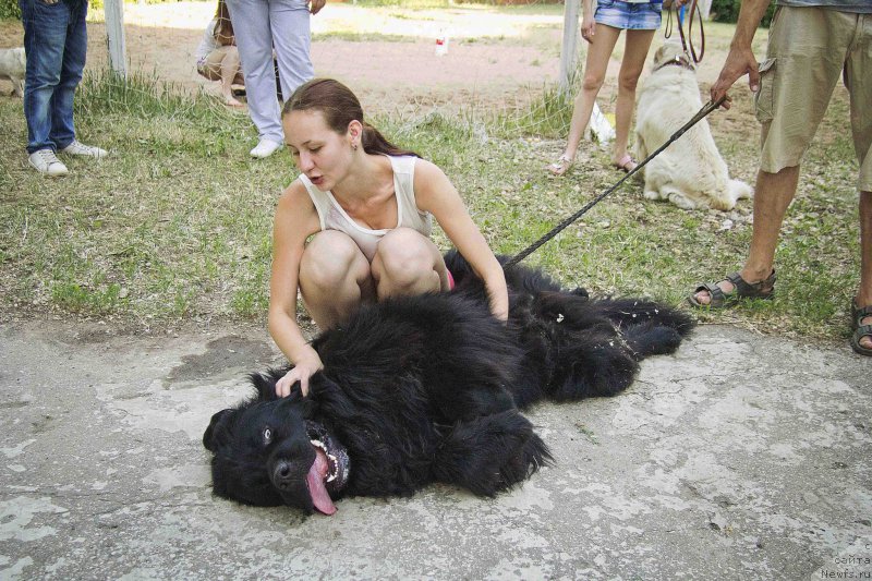 Фотография № 185489