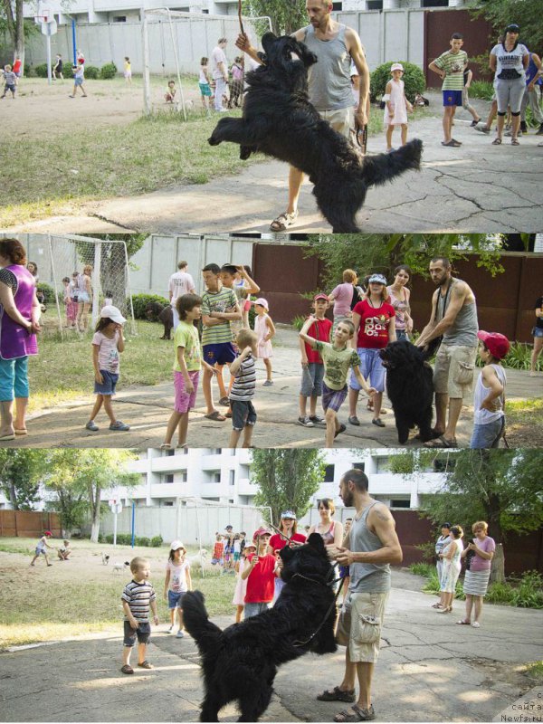 Фотография № 185491