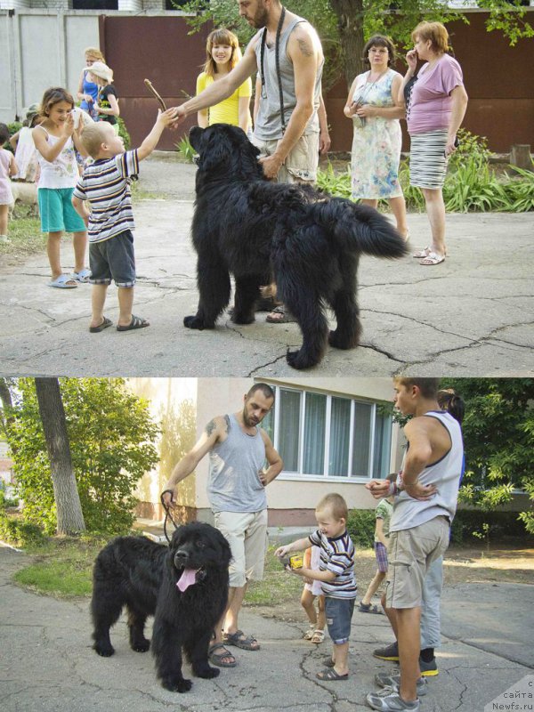 Фотография № 185494