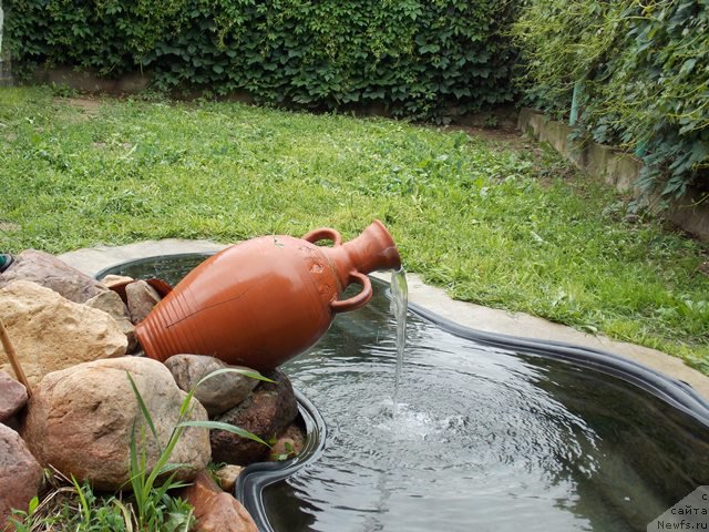 Фотография № 185496