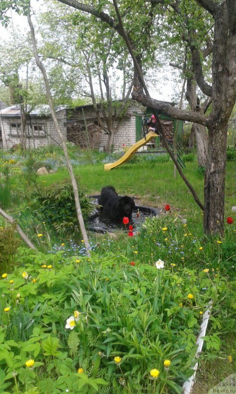 Фотография № 185523