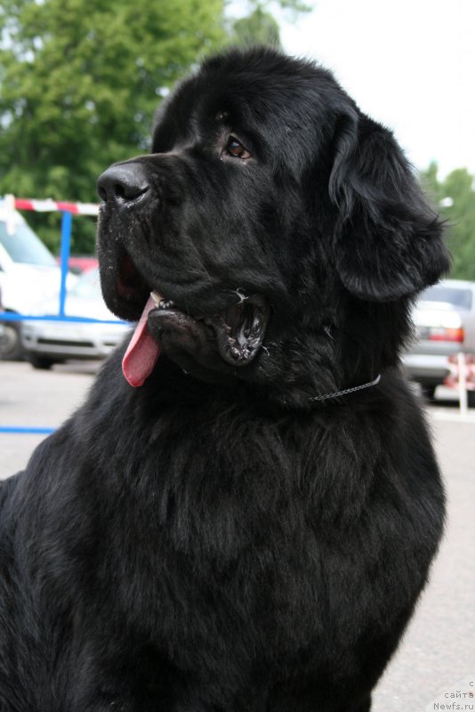 Фотография № 185547