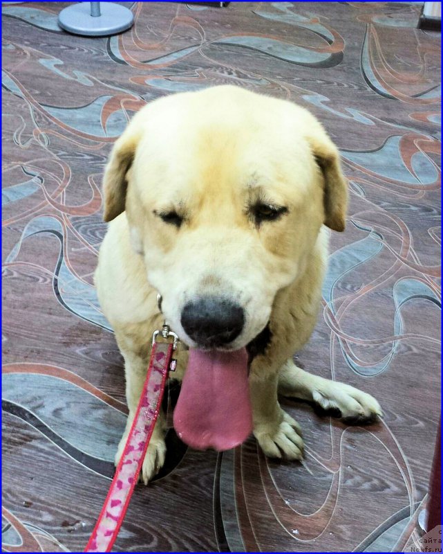 Фотография № 185562