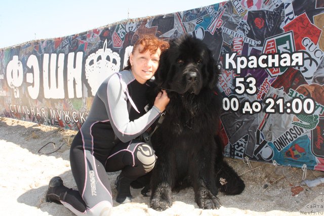 Фотография № 185584