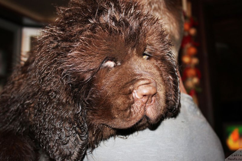 Фотография № 185630