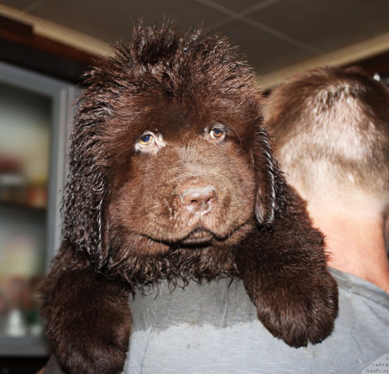 Фотография № 185637