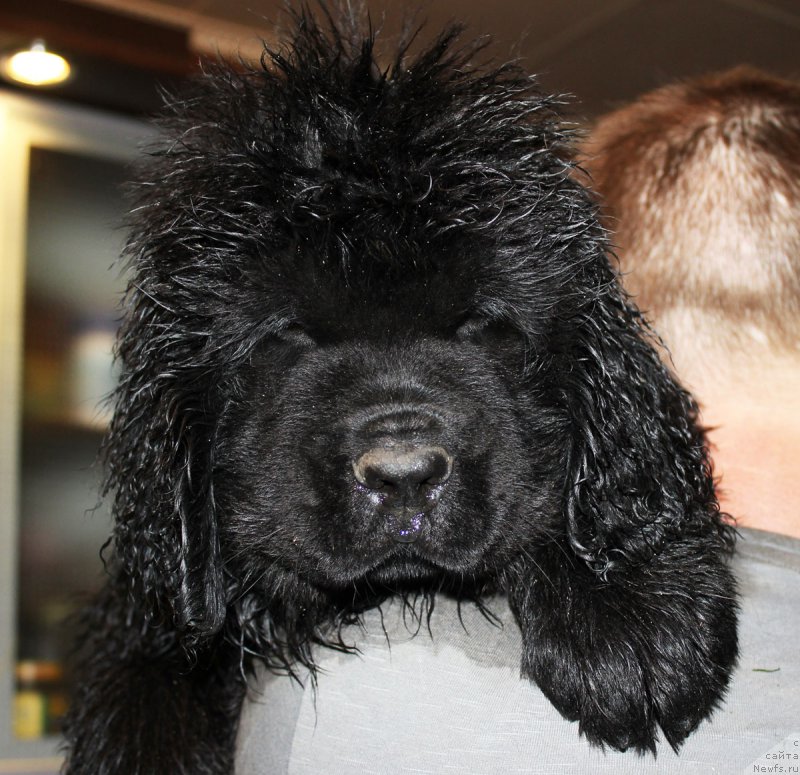 Фотография № 185644