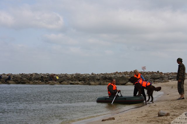 Фотография № 185661