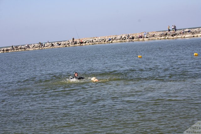 Фотография № 185664