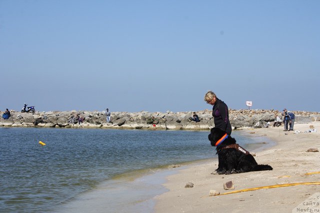 Фотография № 185665