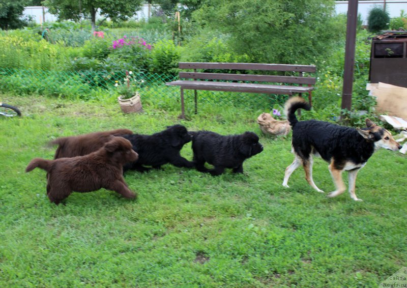 Фотография № 185667