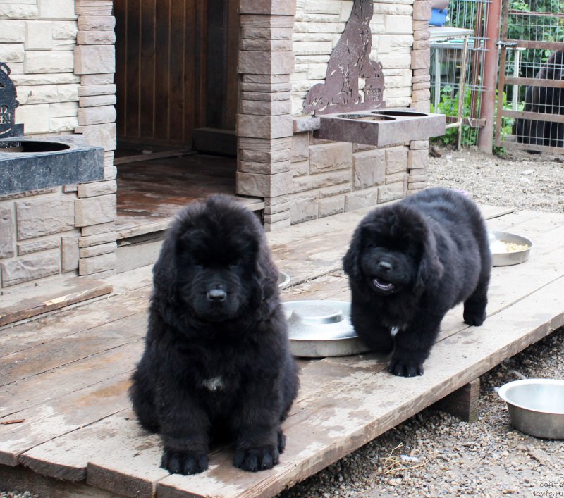 Фотография № 185668