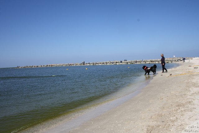 Фотография № 185674