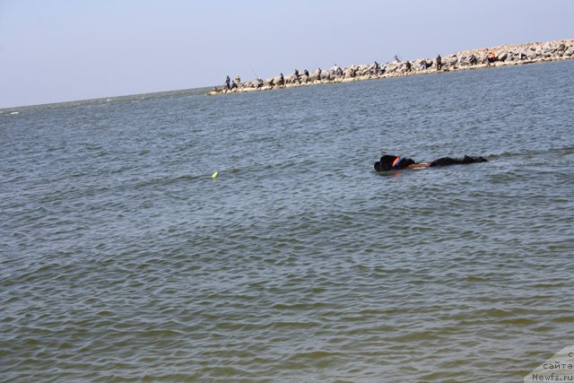 Фотография № 185675