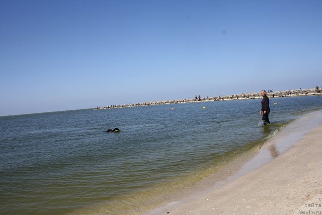 Фотография № 185676