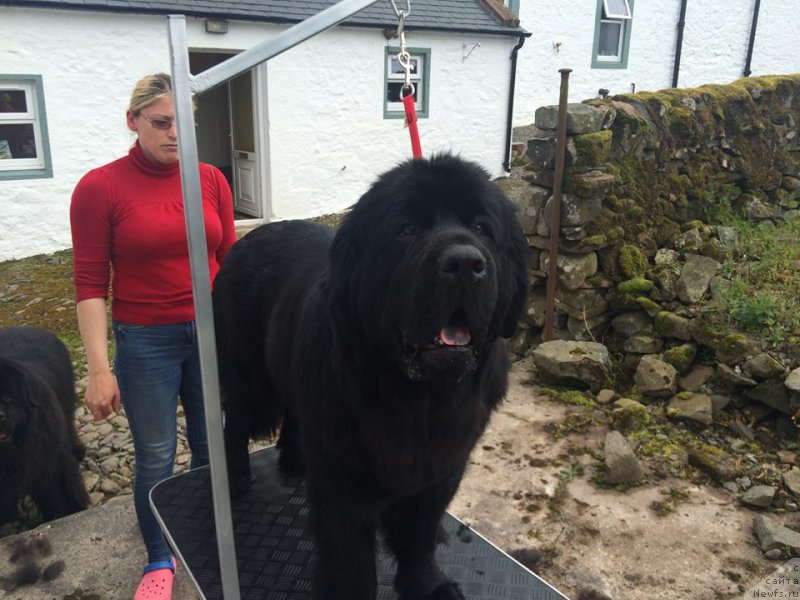 Фотография № 185726