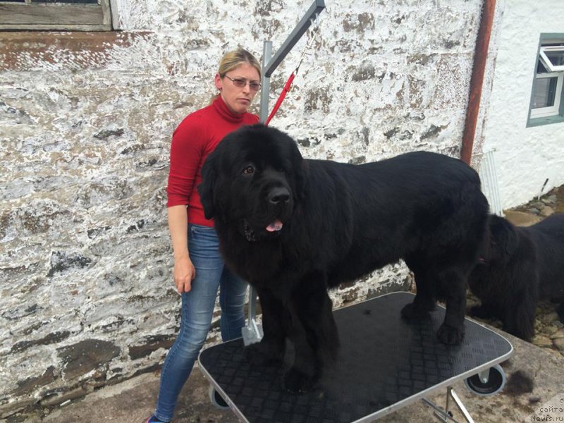 Фотография № 185727