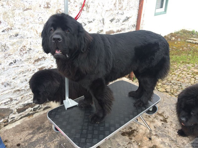 Фотография № 185728