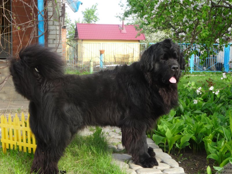 Фотография № 185730