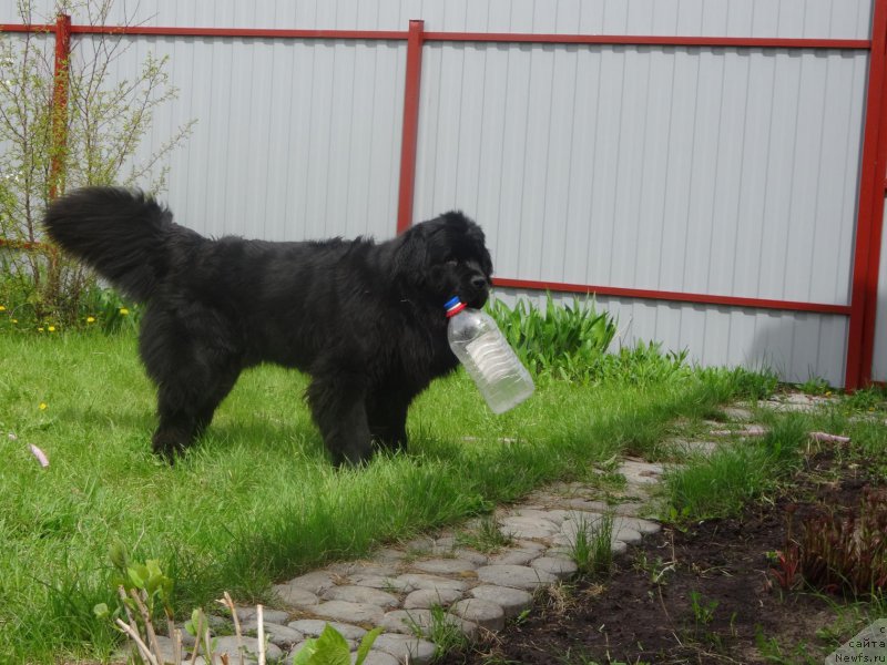 Фотография № 185731