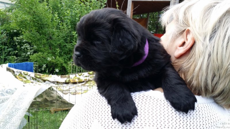 Фото: Дети Джаза и Туси