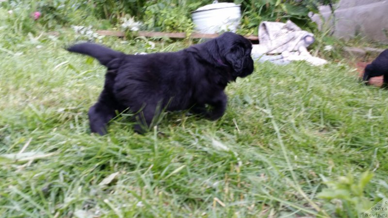 Фото: Дети Джаза и Туси