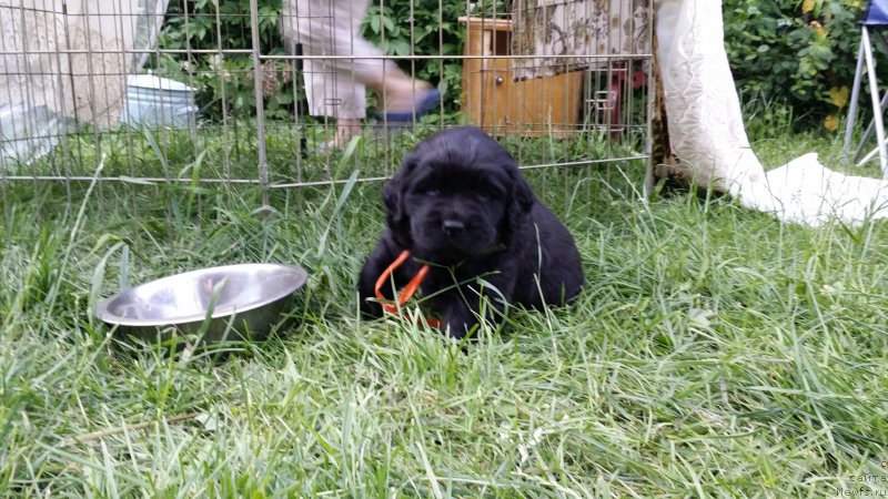 Фото: Дети Джаза и Туси