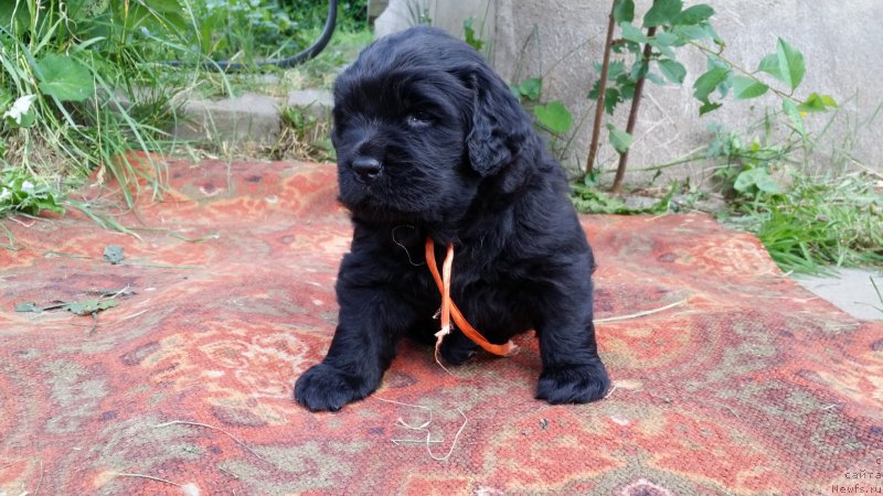 Фото: Дети Джаза и Туси