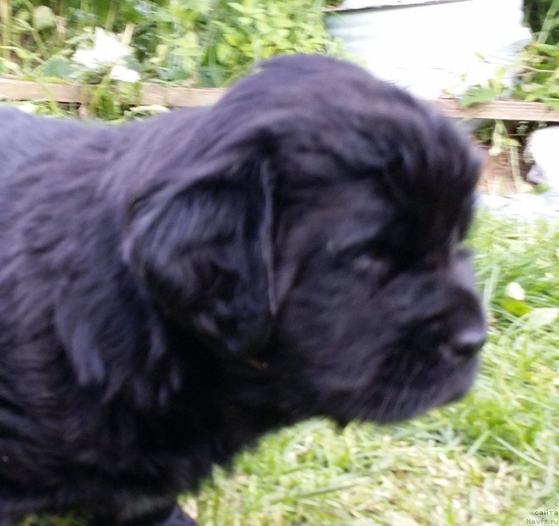 Фото: Дети Джаза и Туси