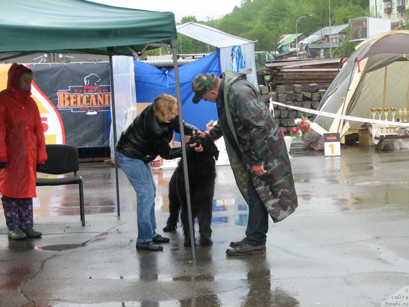 Фотография № 185767