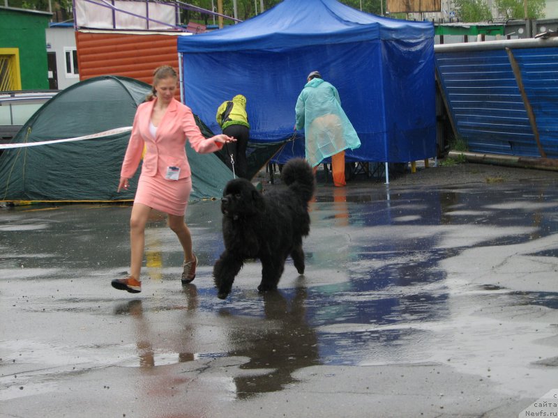 Фотография № 185772