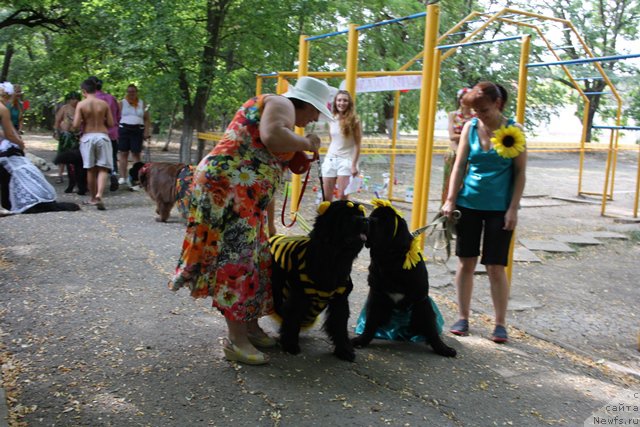 Фотография № 185790